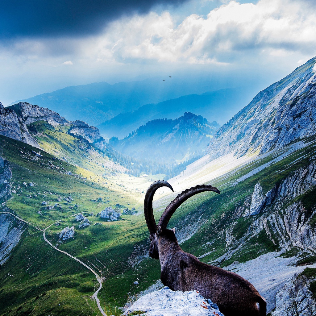 Вершины гор