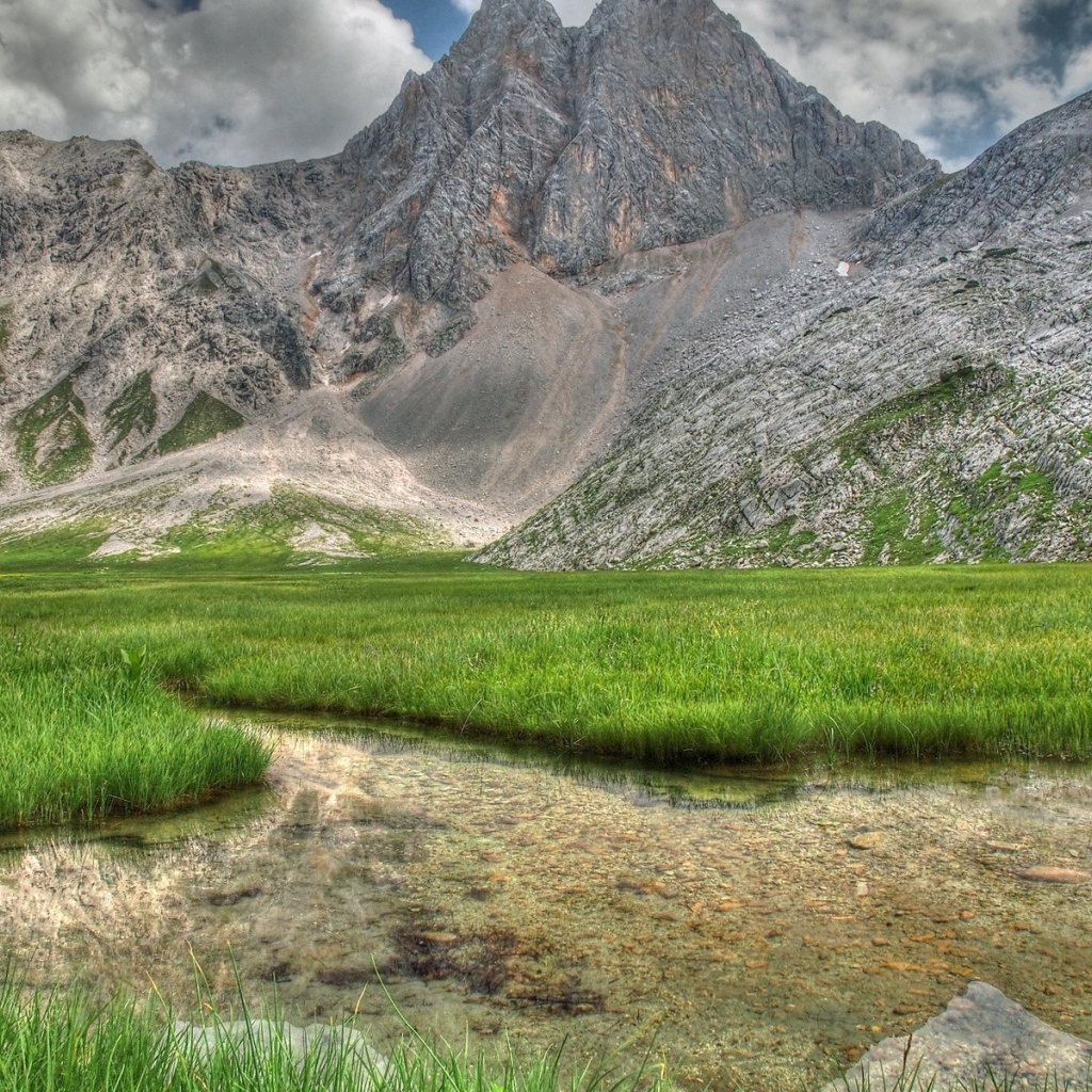 Заросшее травой озеро