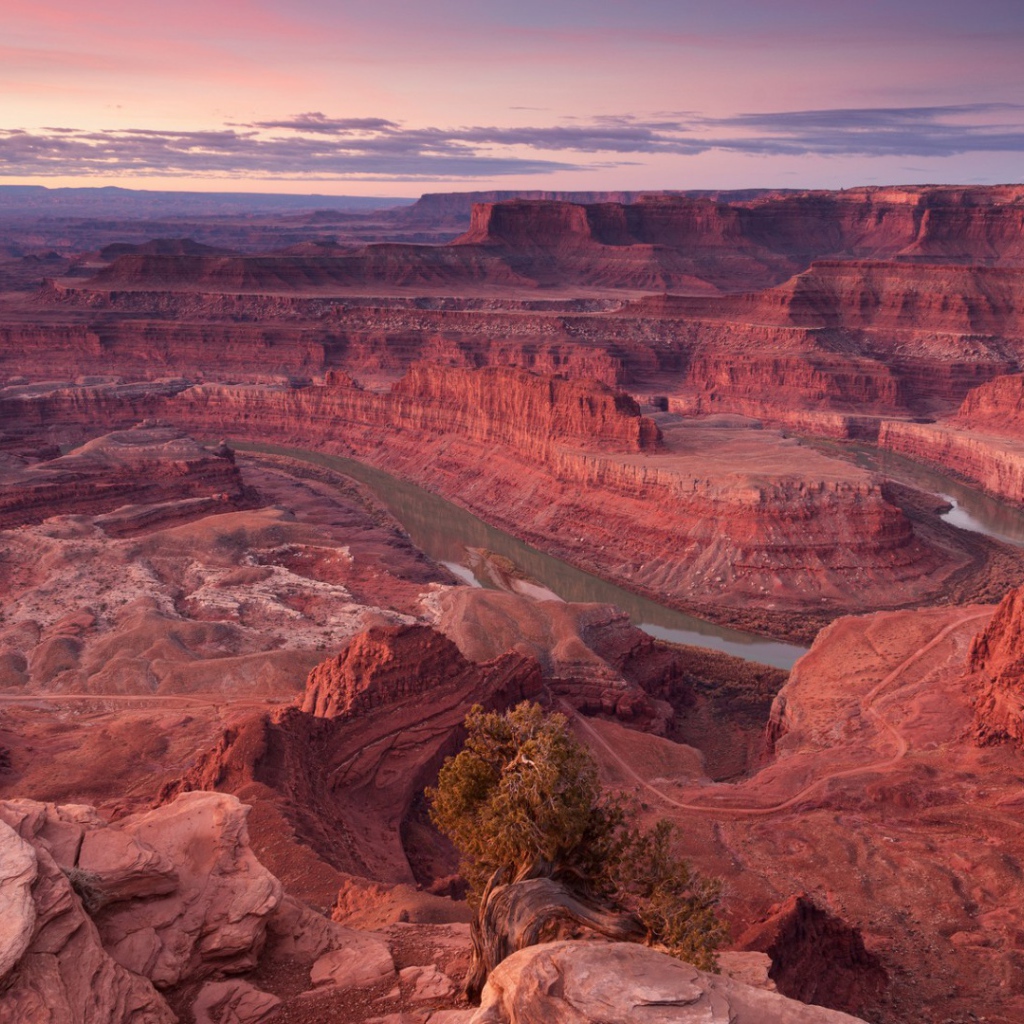 Розовый каньон