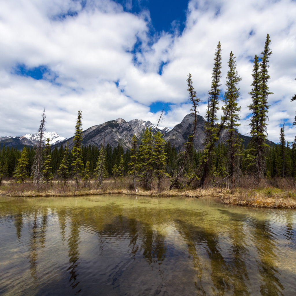 Маленькое озеро и красивые горы