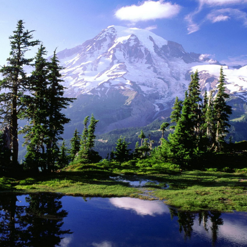 Снежная гора вдали