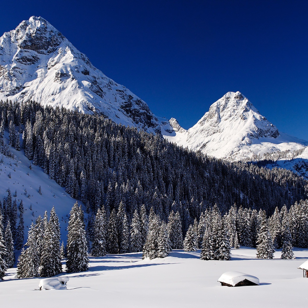 Снежные горы и лес в снегу