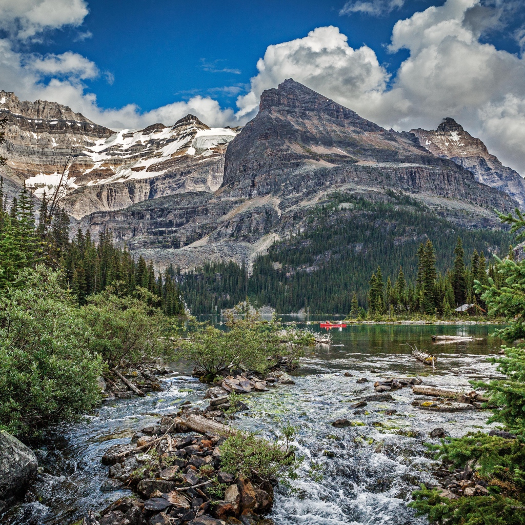 Горная река среди леса
