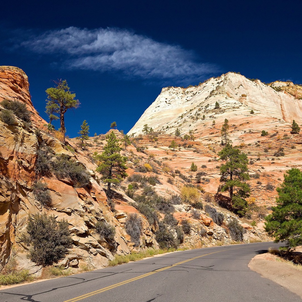 Дорога в желтых горах
