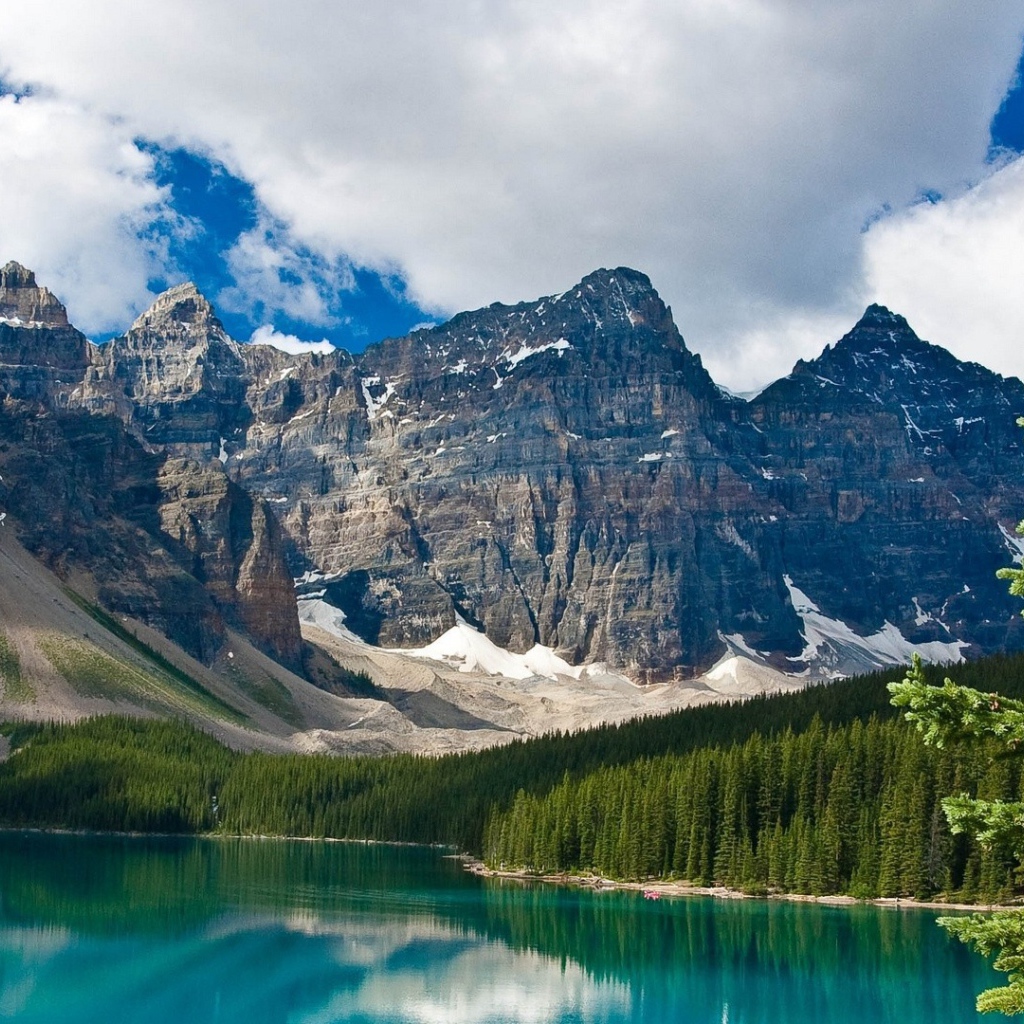 Ель на берегу озера