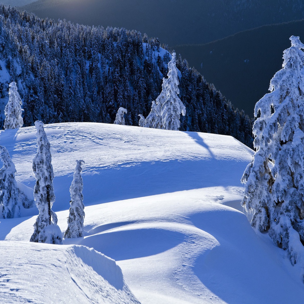 Горный пейзаж Колумбии