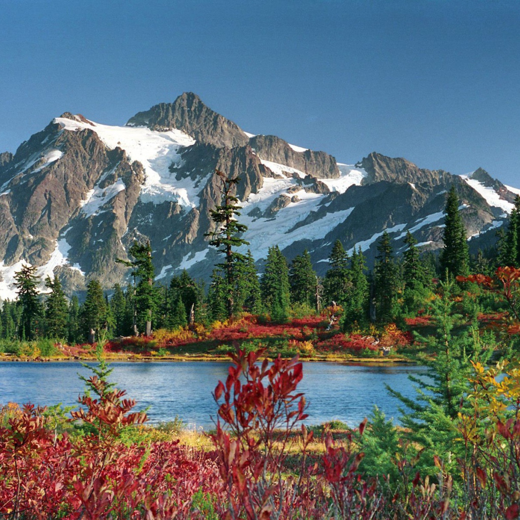 Озеро и лес в горах