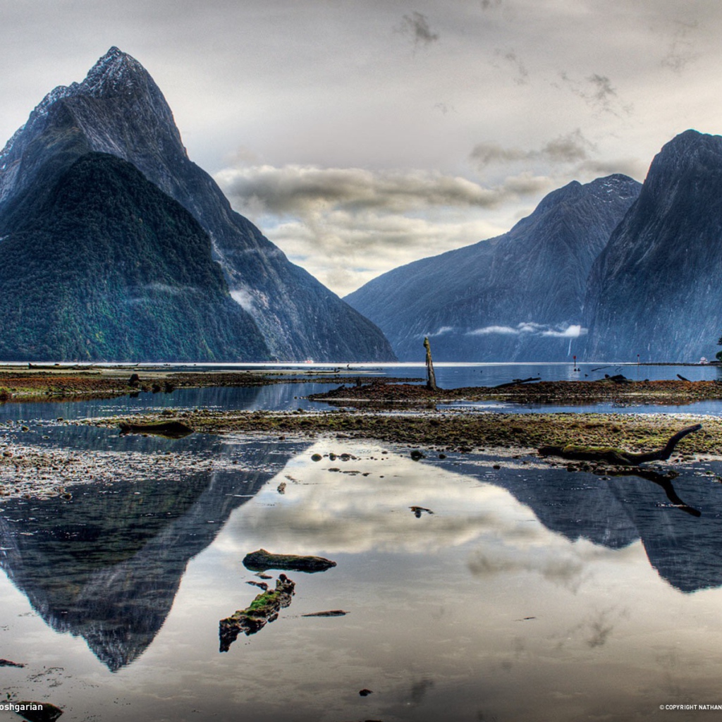 Дикая природа гор