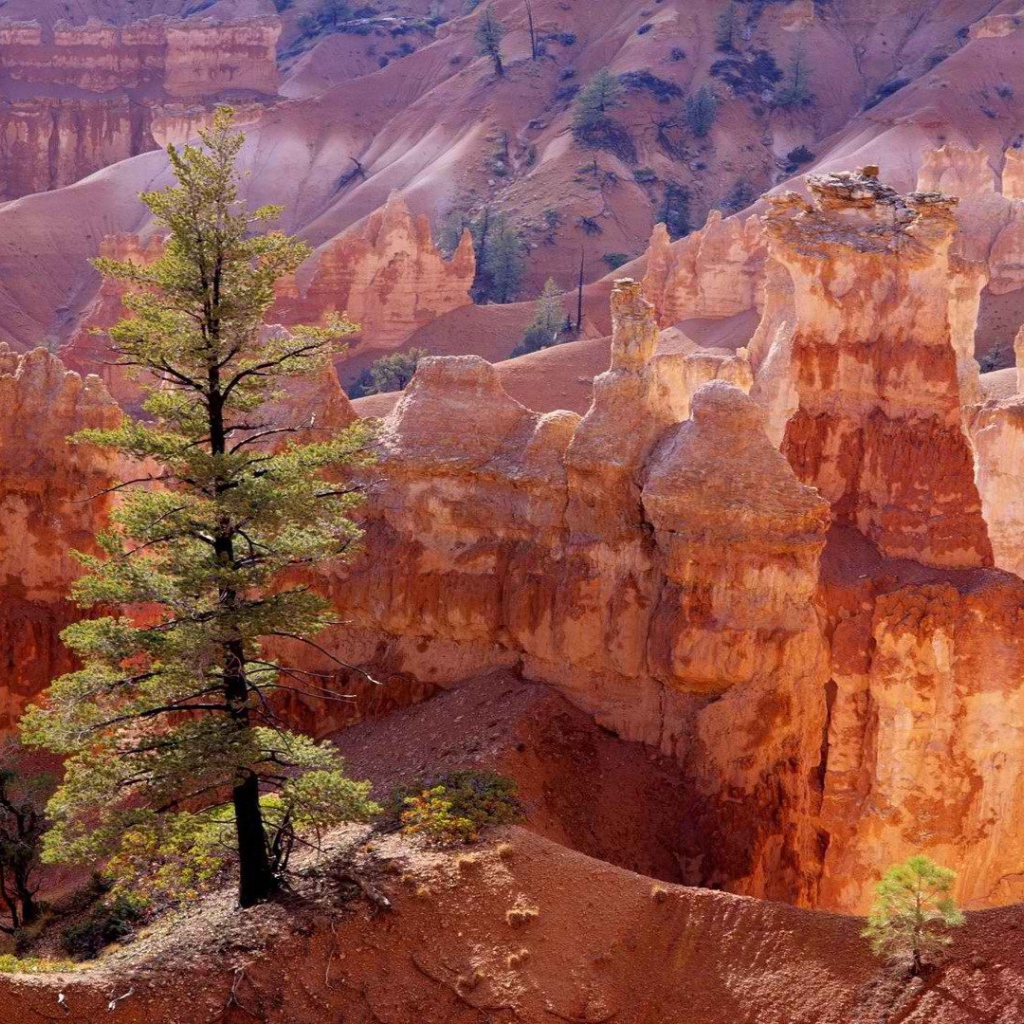 Каньон утах в америке