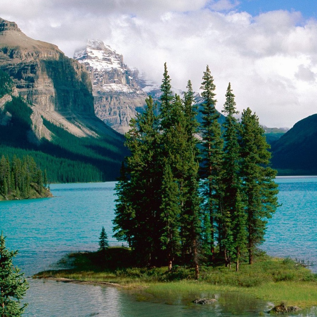 Остров с деревьями на озере