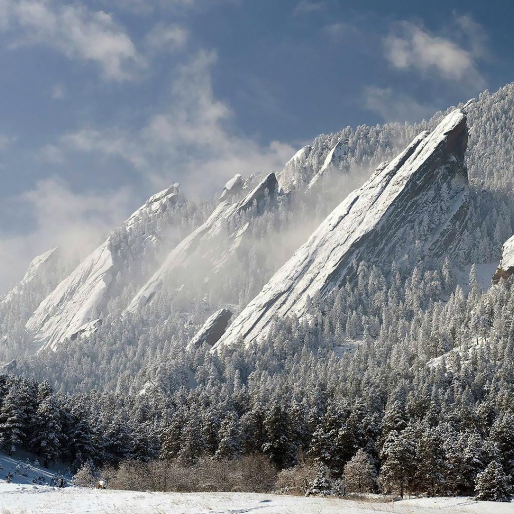 Скалы и деревья