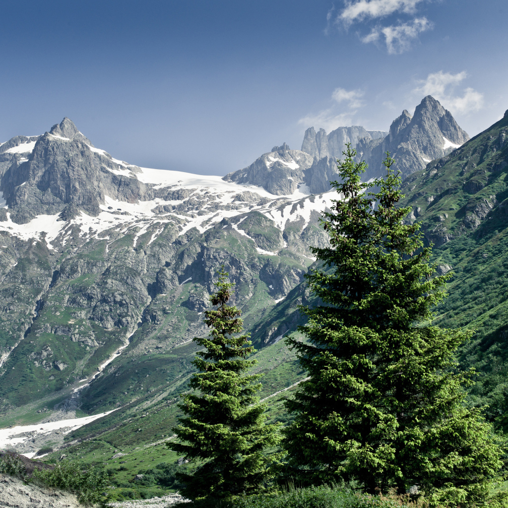 Снежные горы и деревья