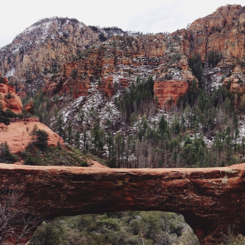 Мост через ущелье