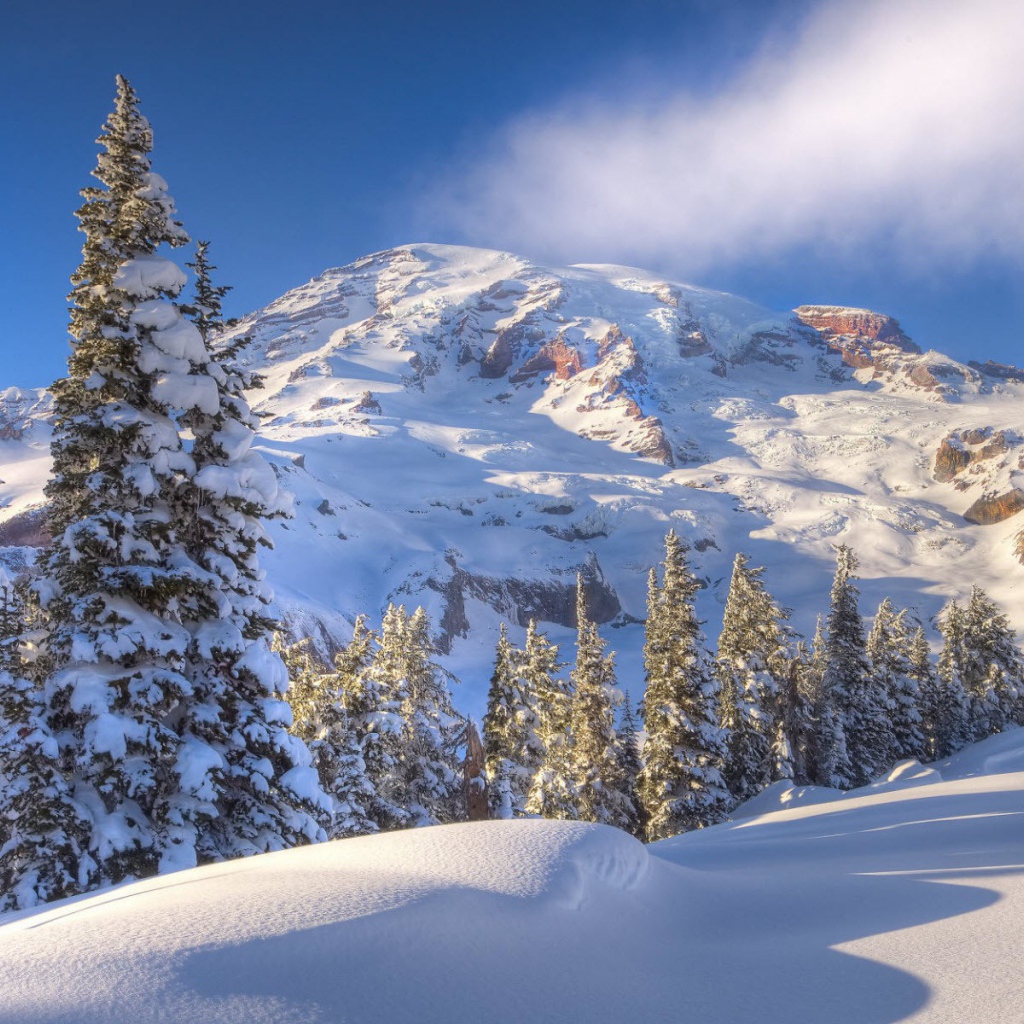 Зимний горный пейзаж