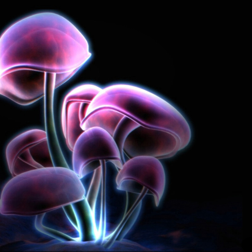 Фиолетовые грибы