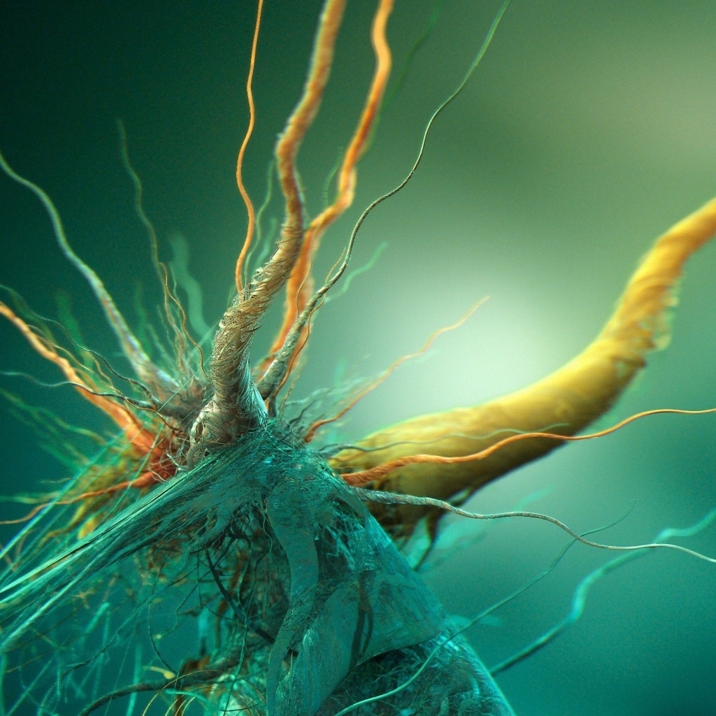 Бактерия под микроскопом