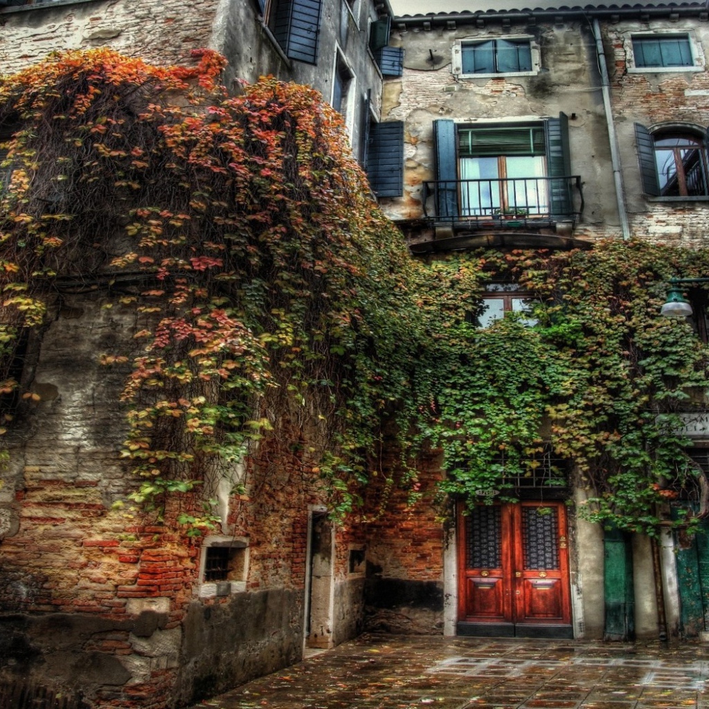 Старый дом заросший травой