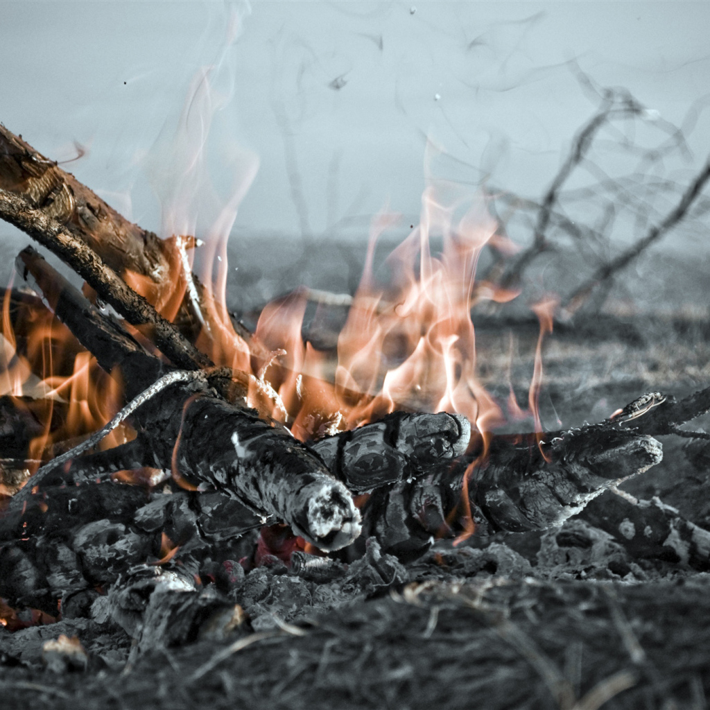 Огонь костра