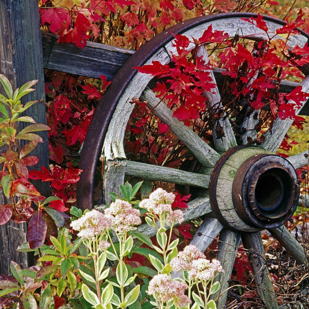 Колесо от старой телеги