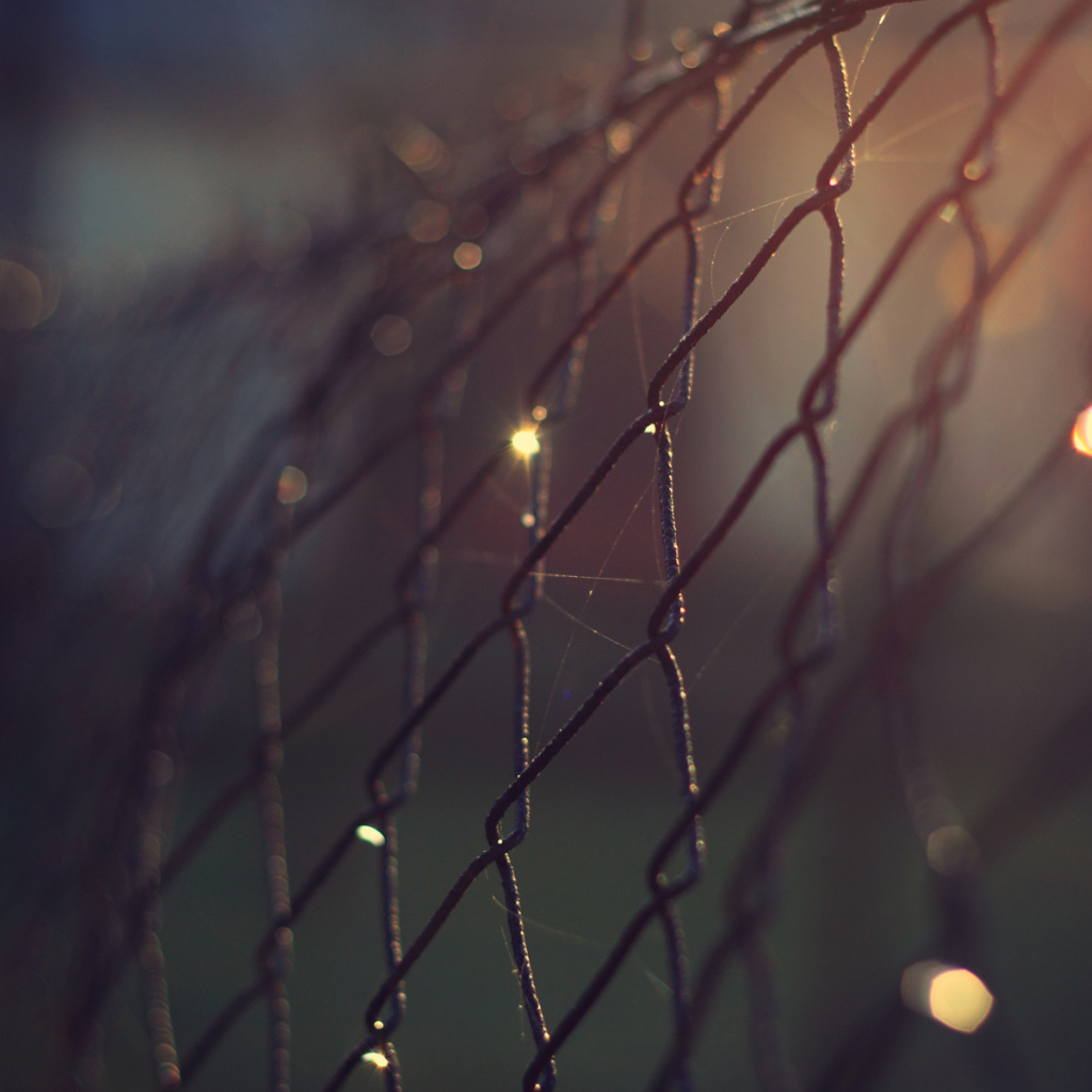 Проволочный забор