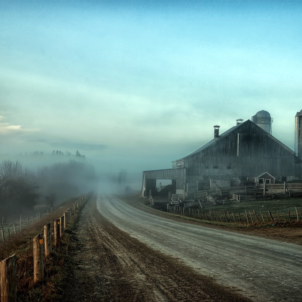 Туман на дороге