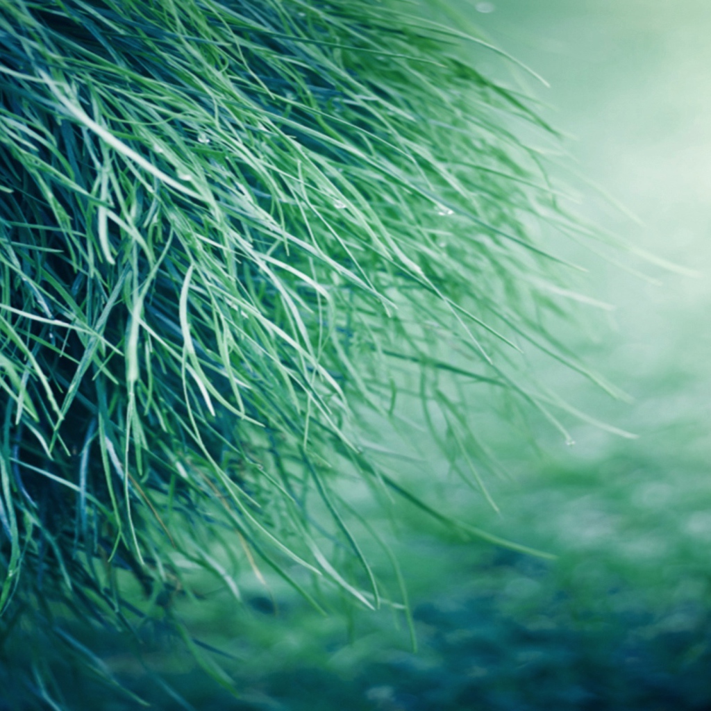 Только трава