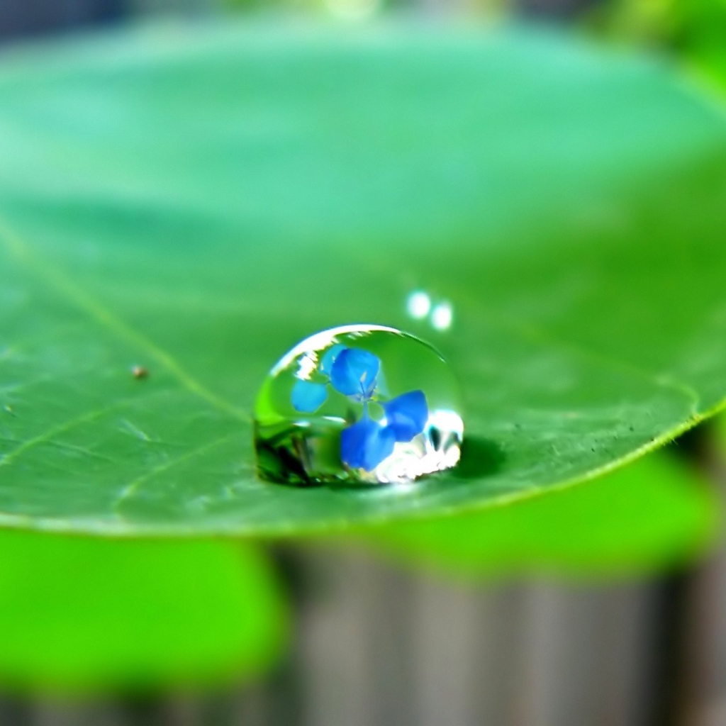 Отражение в капле воды