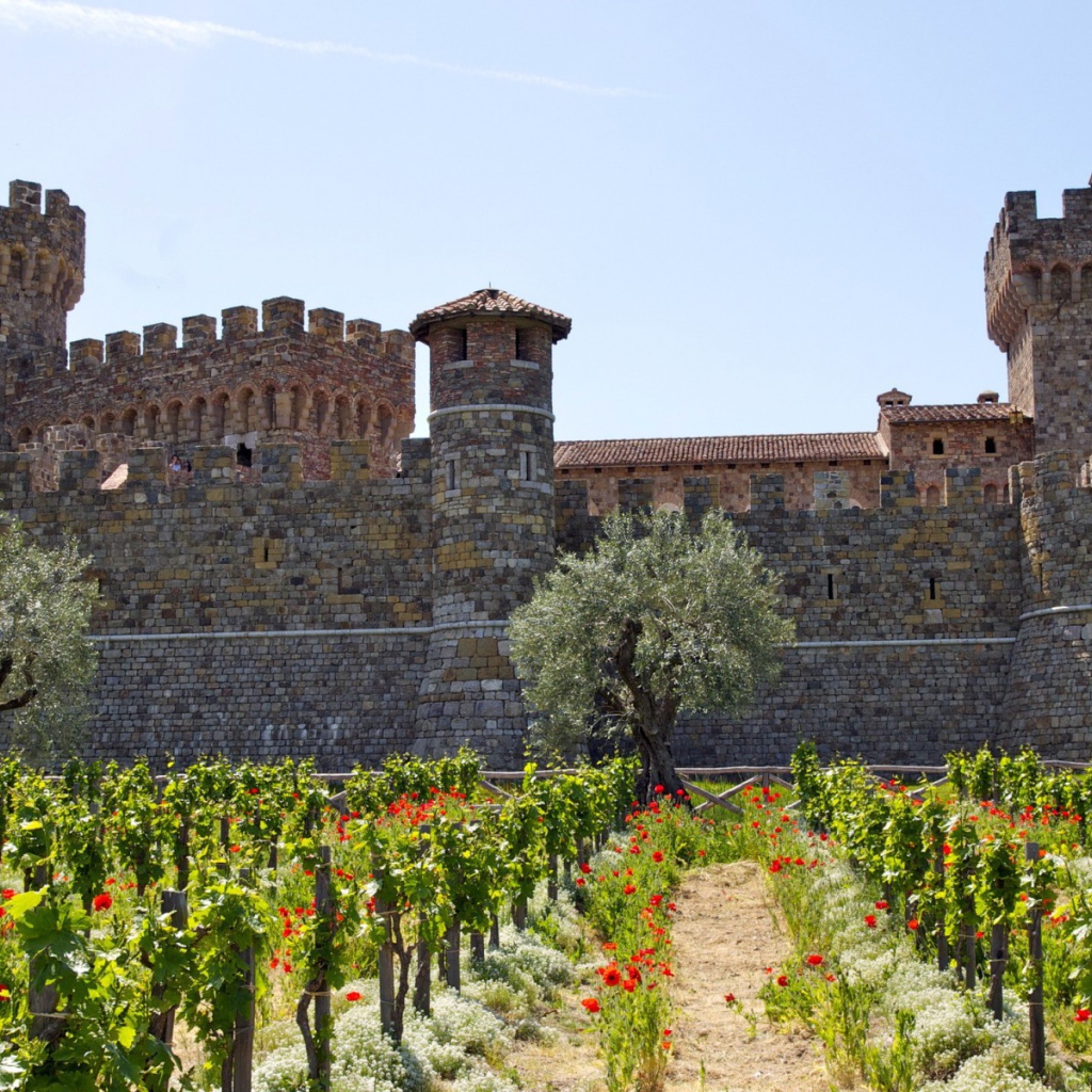 Виноградник у крепости