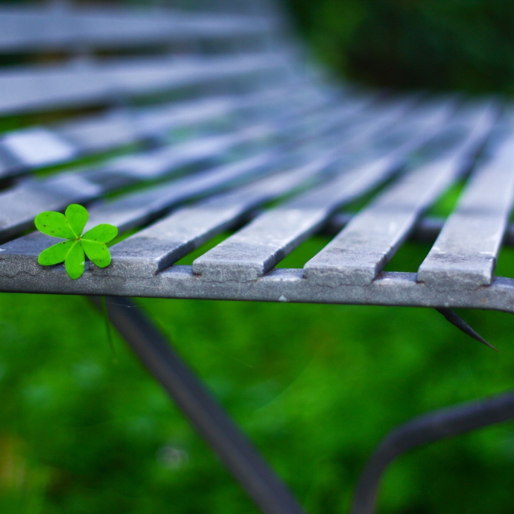 Лист на садовой скамейке