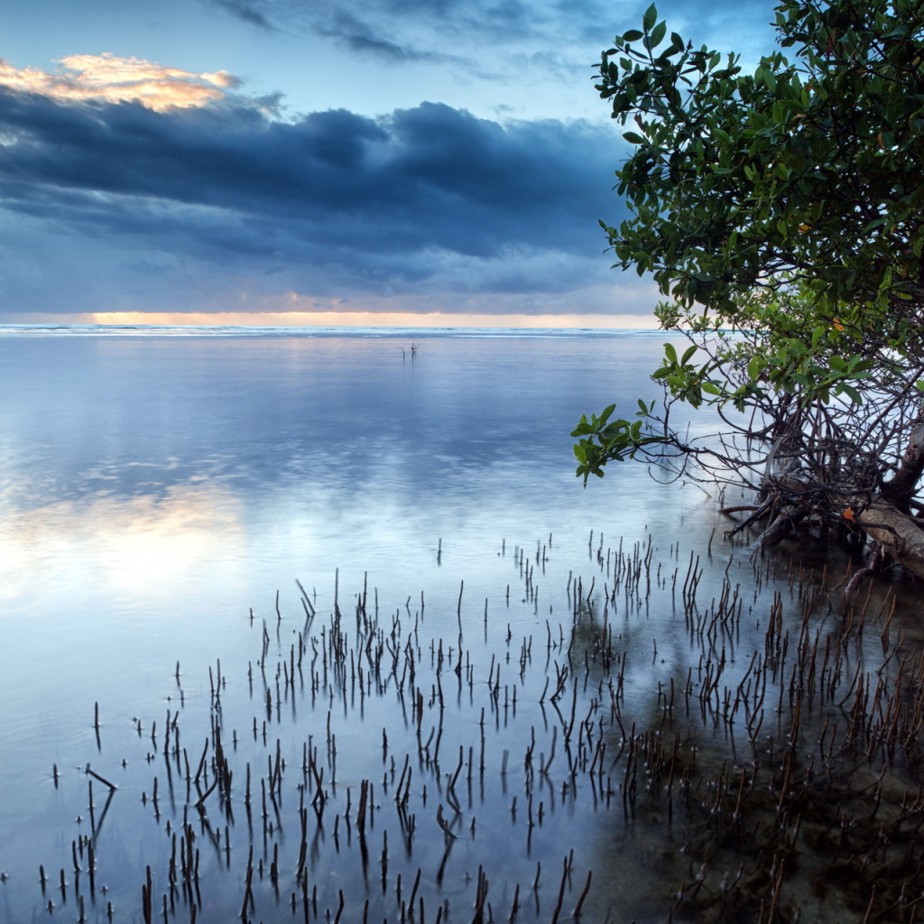 Темные облака над озером