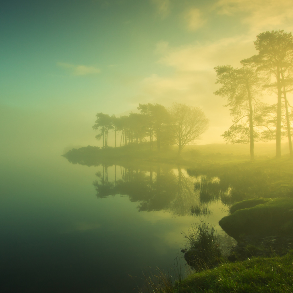 Туман на берегу озера