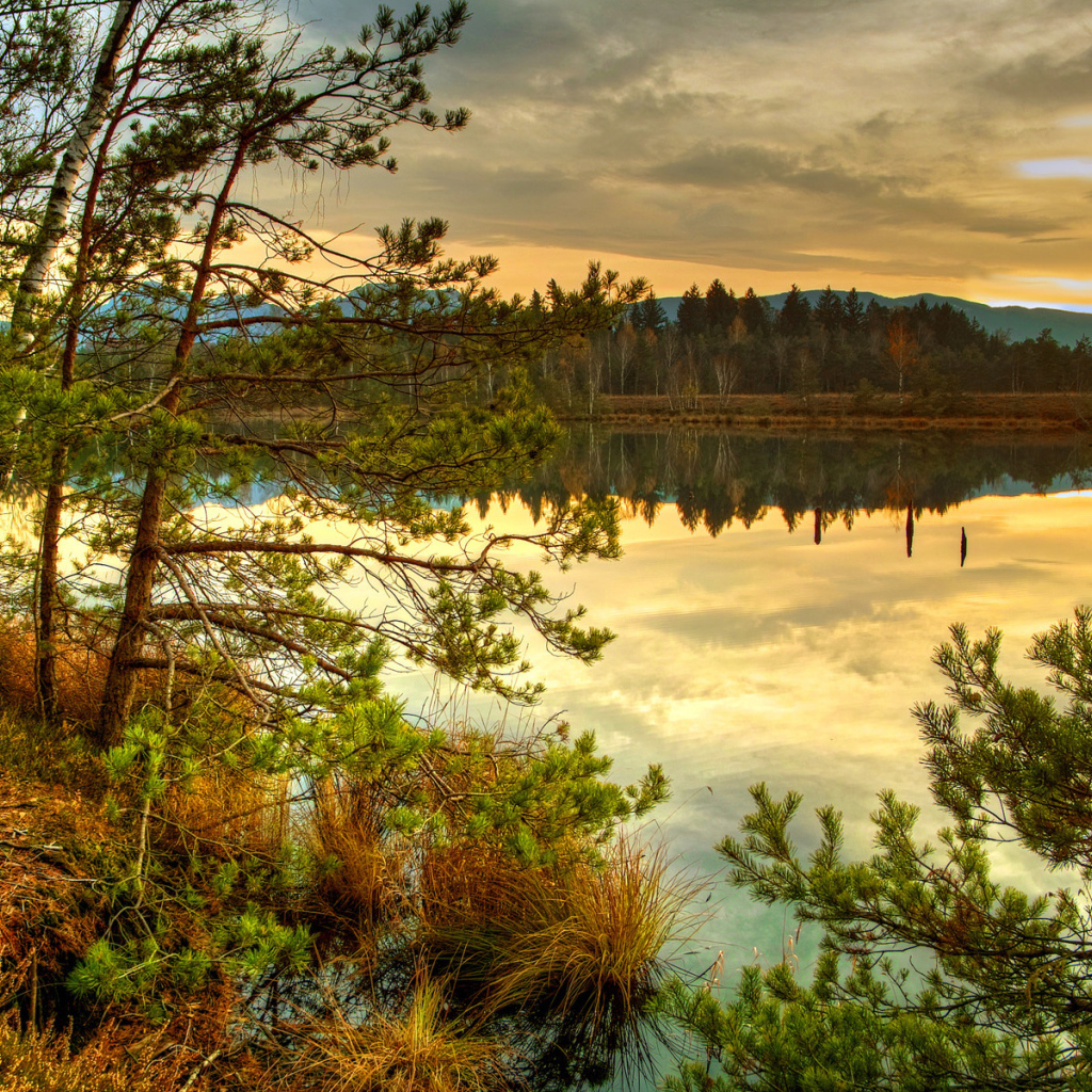 Лесное озеро на закате