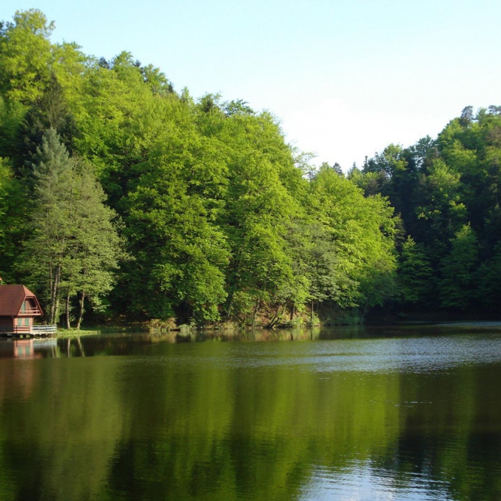 Лесной домик на берегу озера