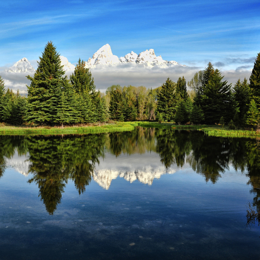 Лесное озеро на фоне гор