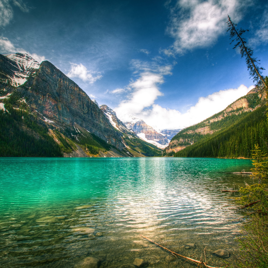 Зеленая вода в озере