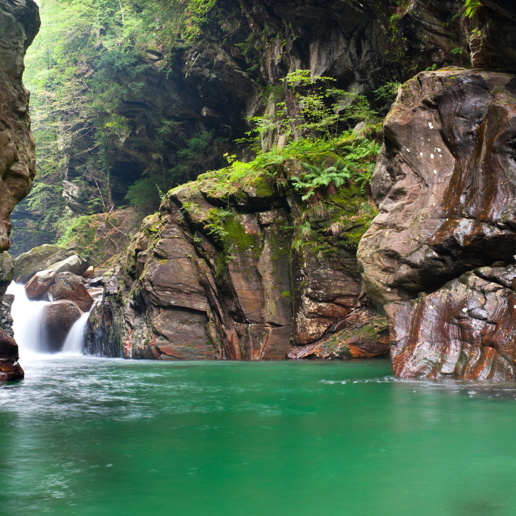 Зеленая вода в реке