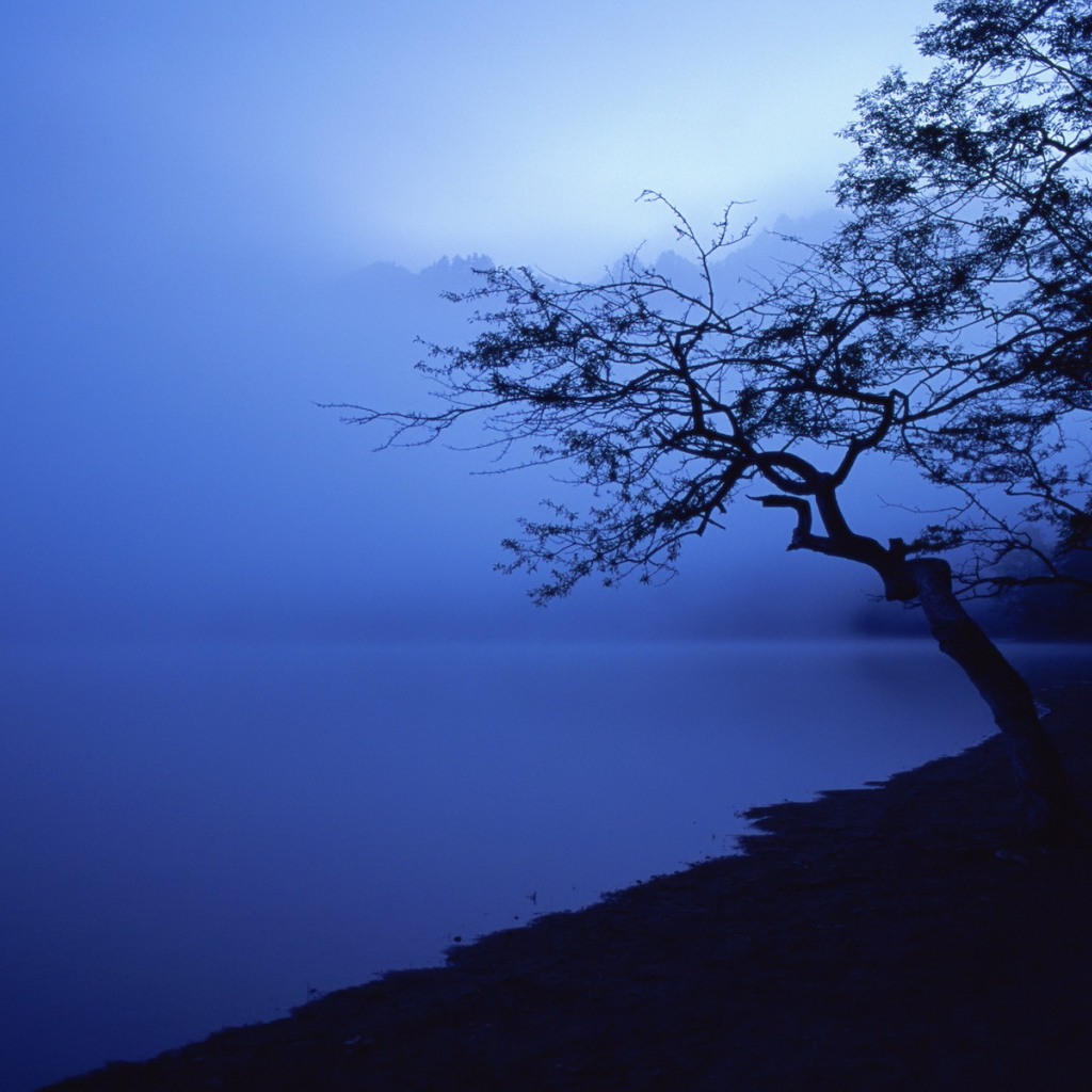 Озеро в синем тумане