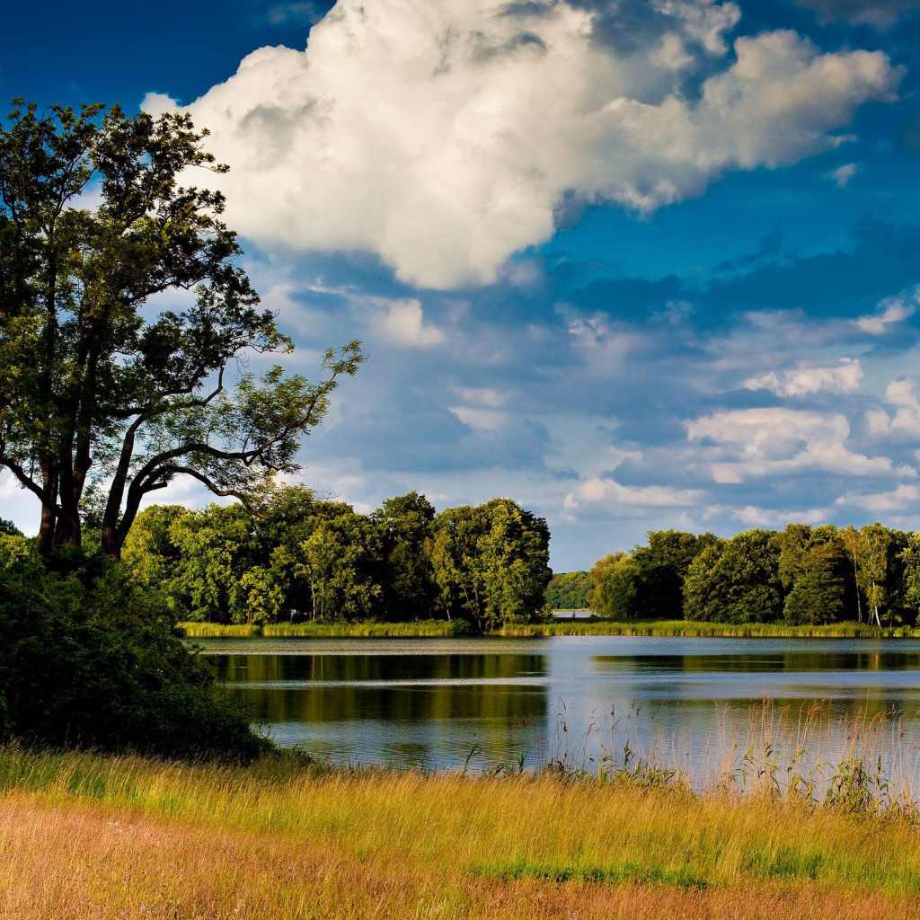 Озеро среди лугов