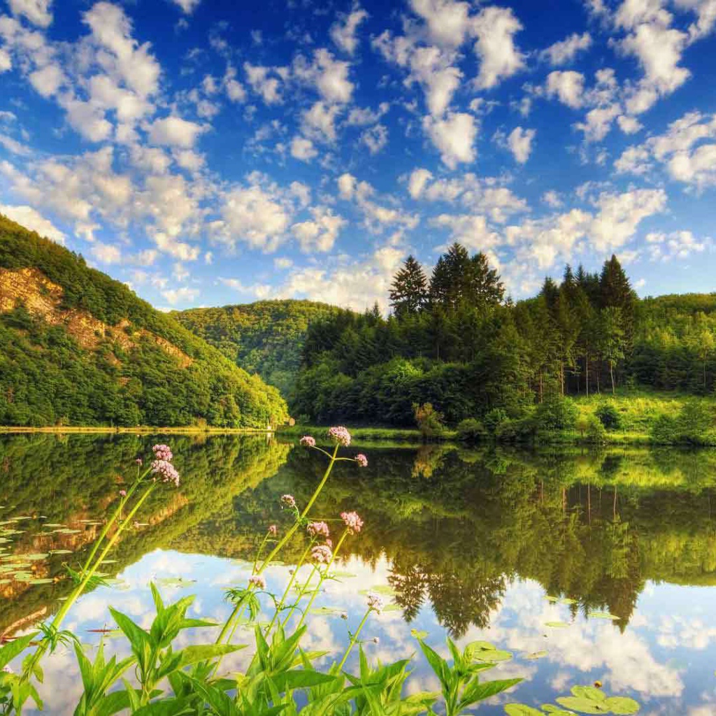 Озеро среди лесистых холмов