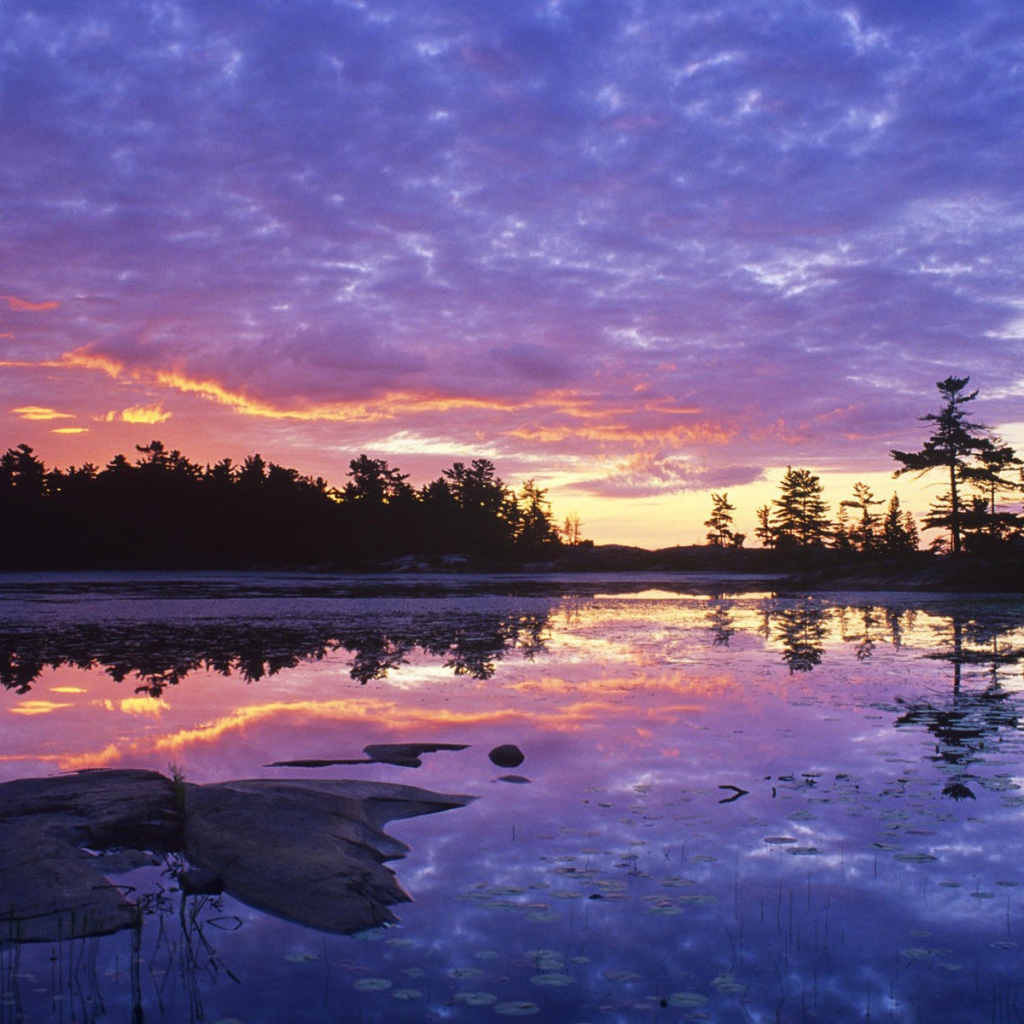 Заросшее озеро на закате