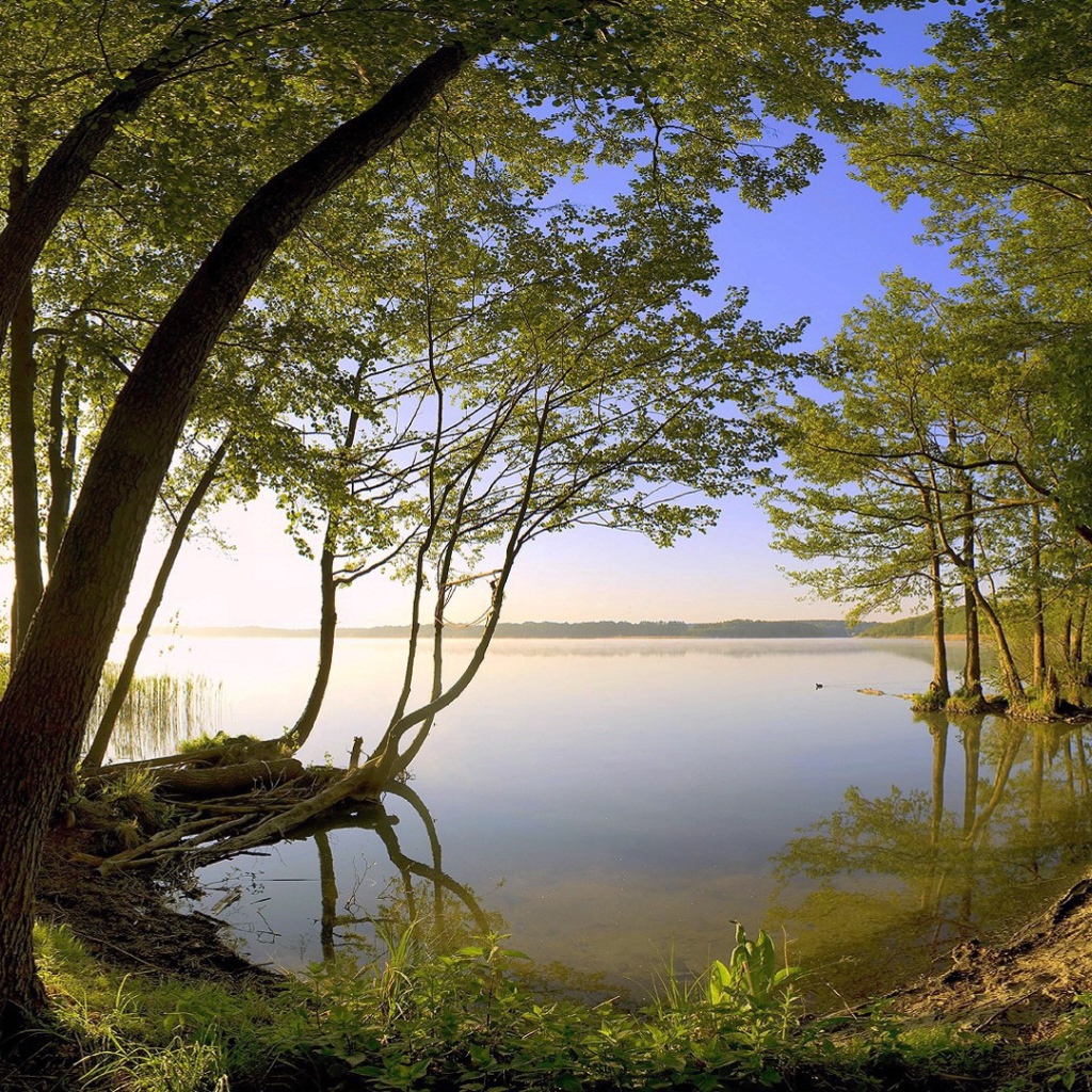 Тихое лесное озеро