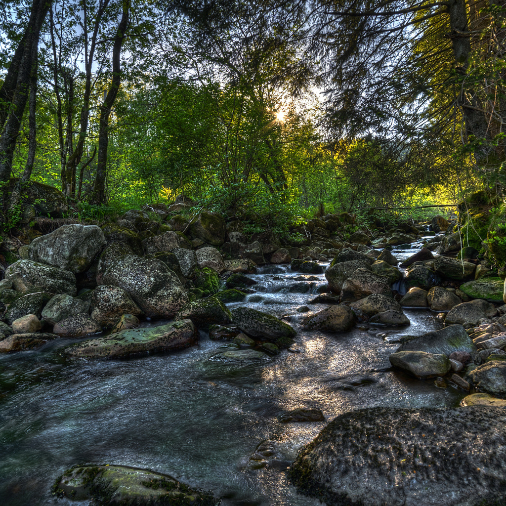 Река в Норвегии