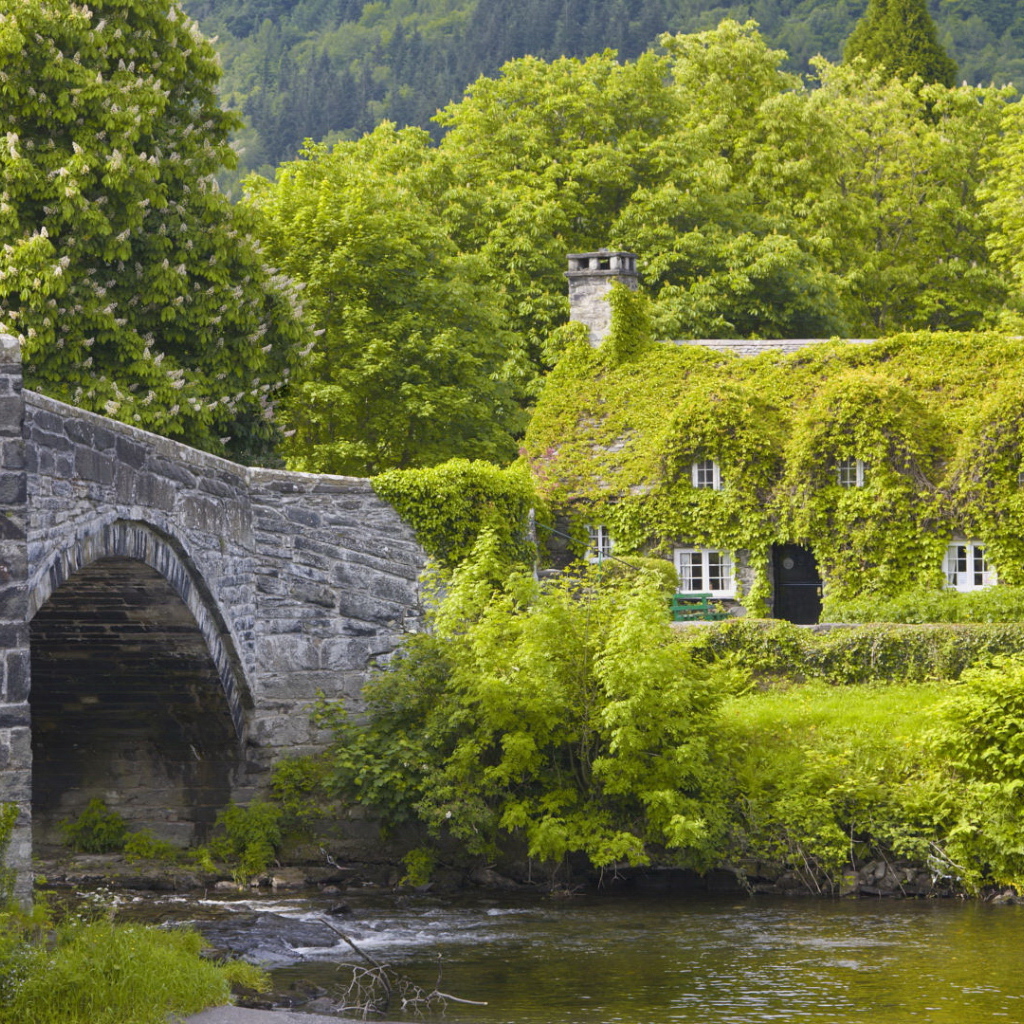 Каменный мост и дом