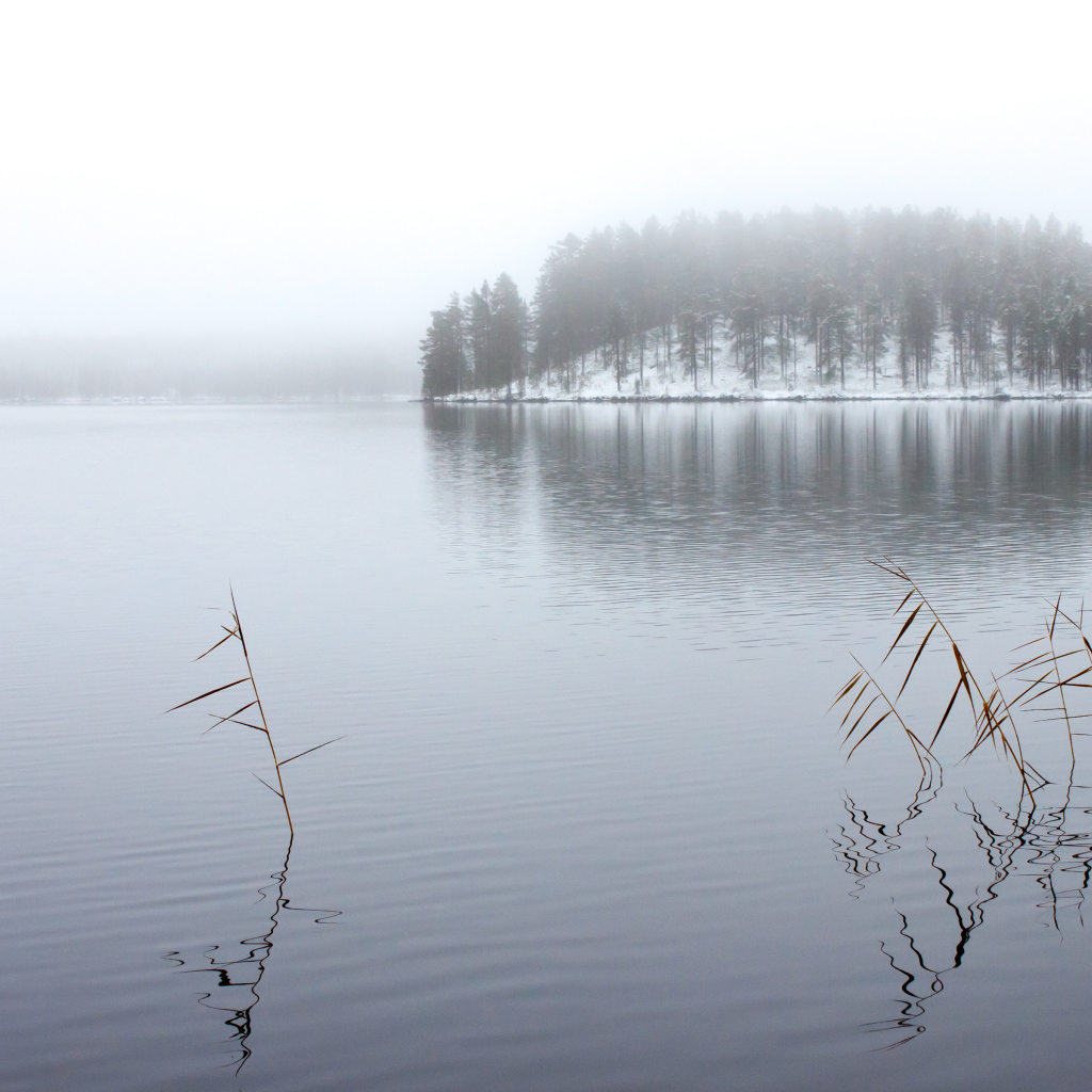 Winter lake in the fog