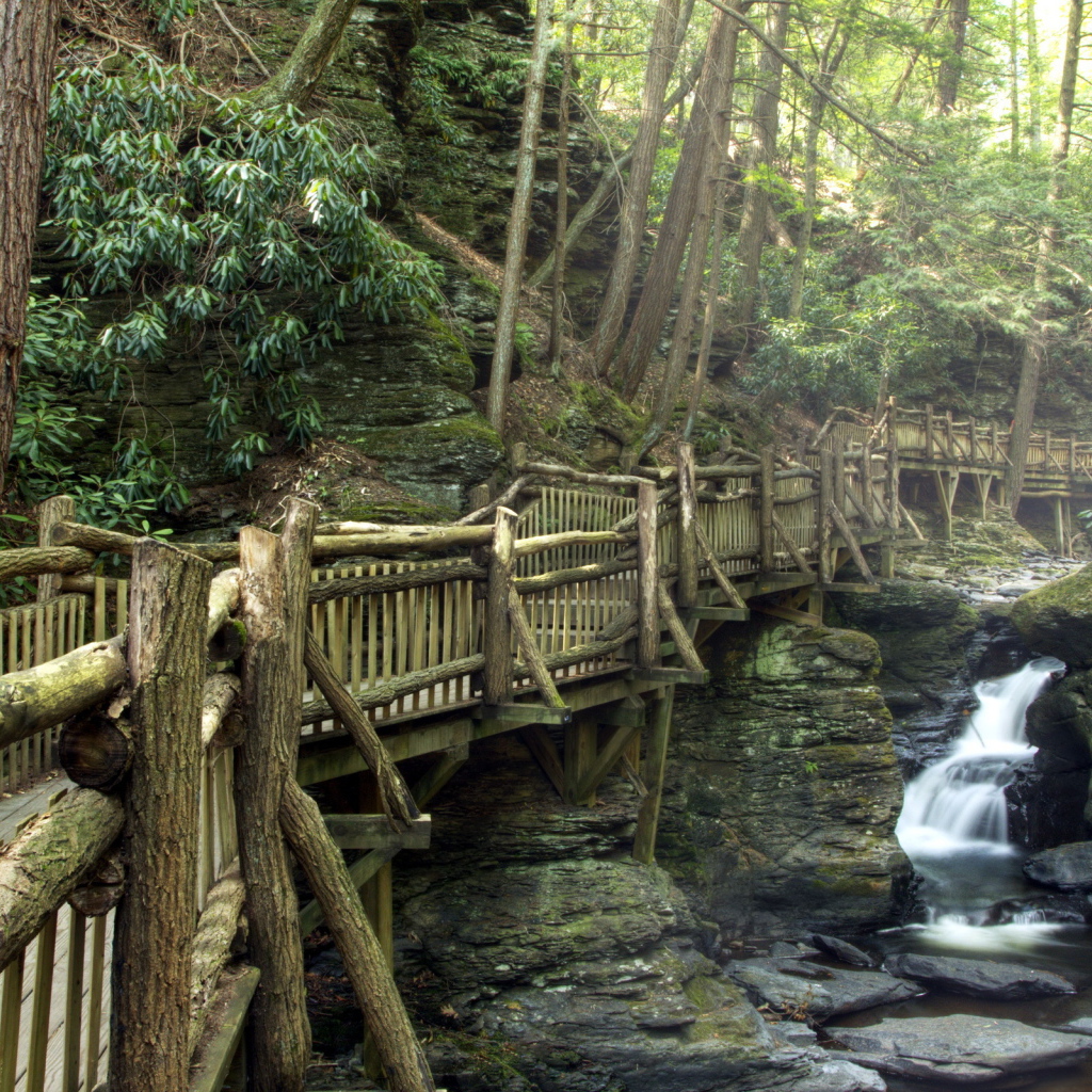 Деревянный мост