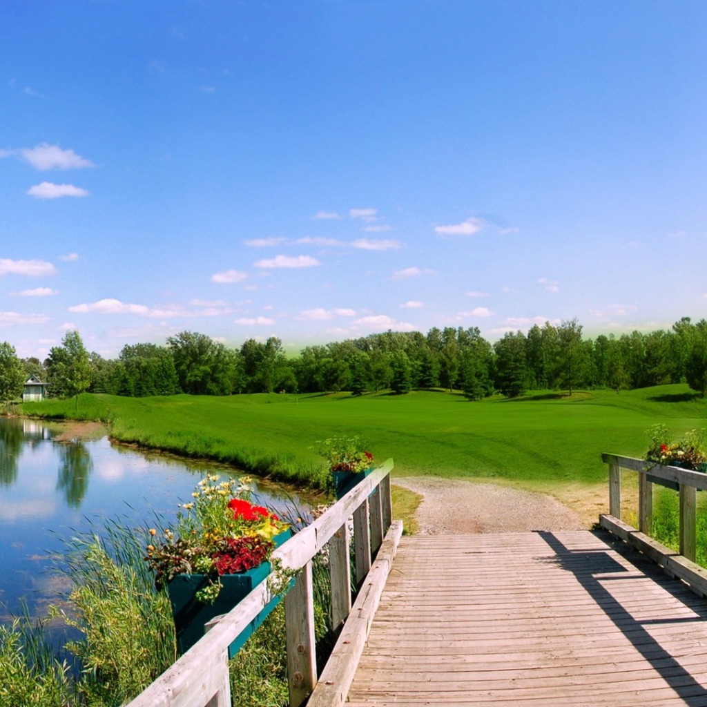 Деревянный мост на озере