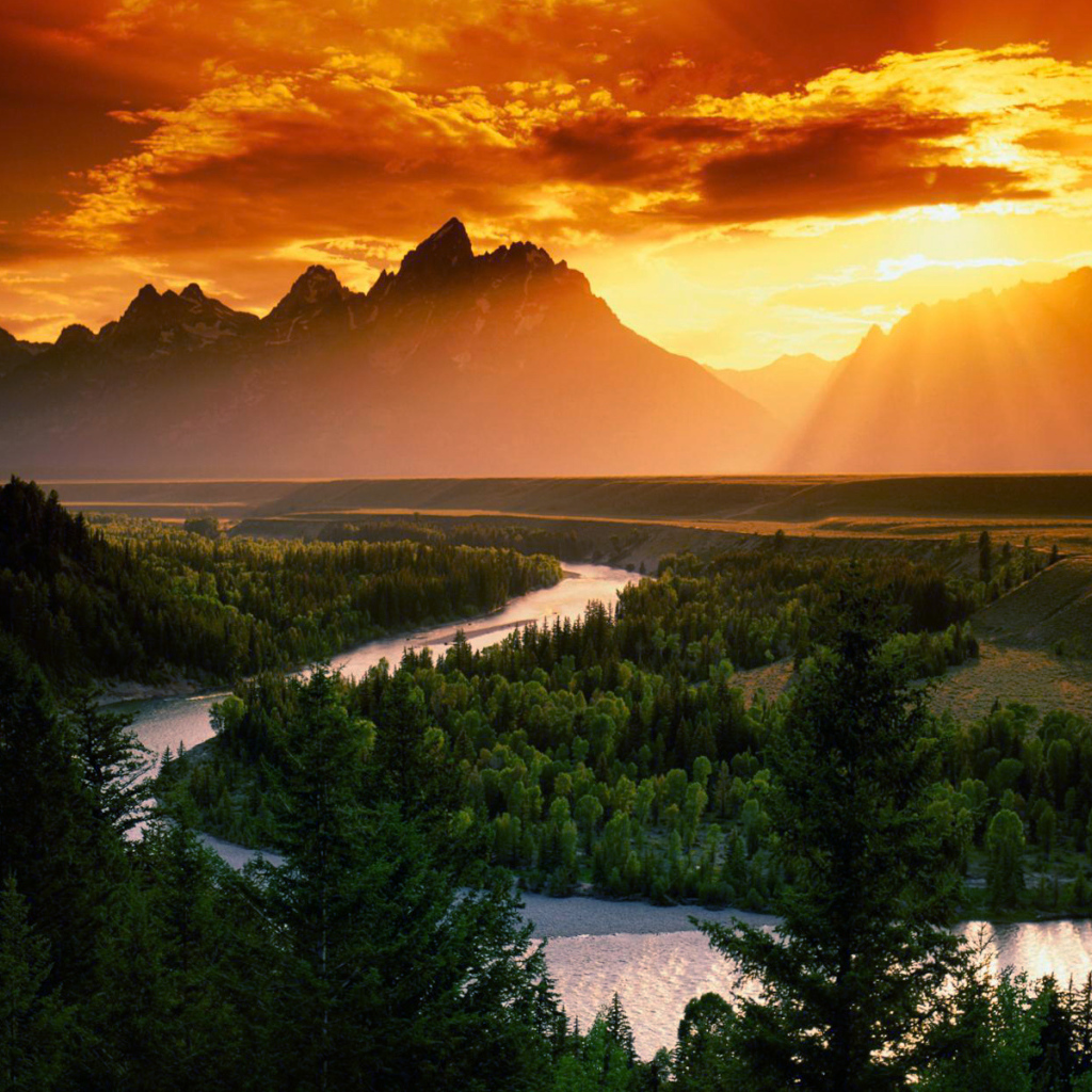 Лес река и горы