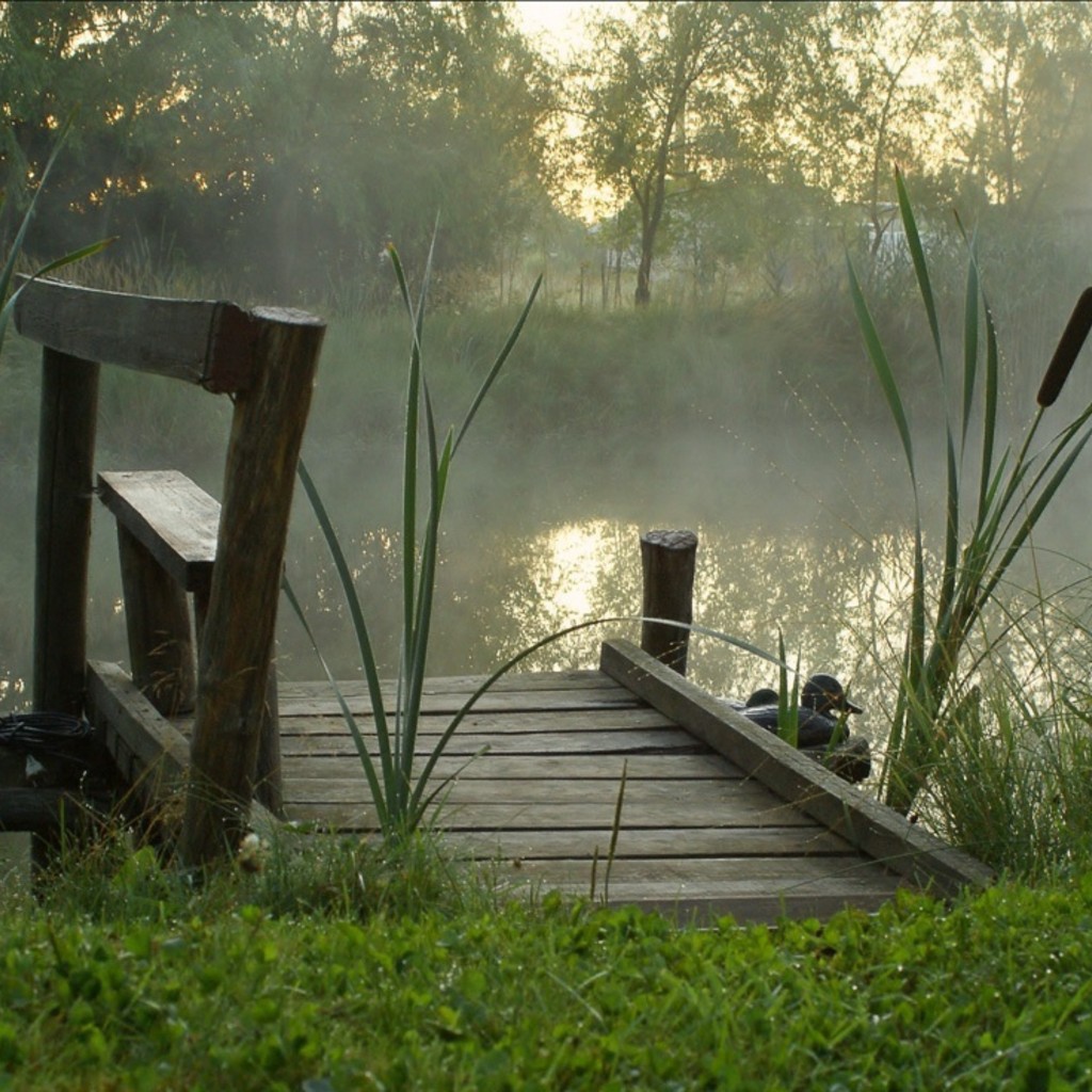 Утренний туман над прудом