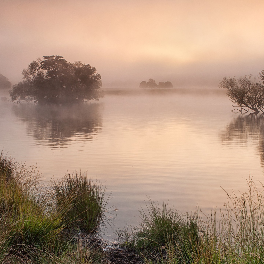 Утро в Англии