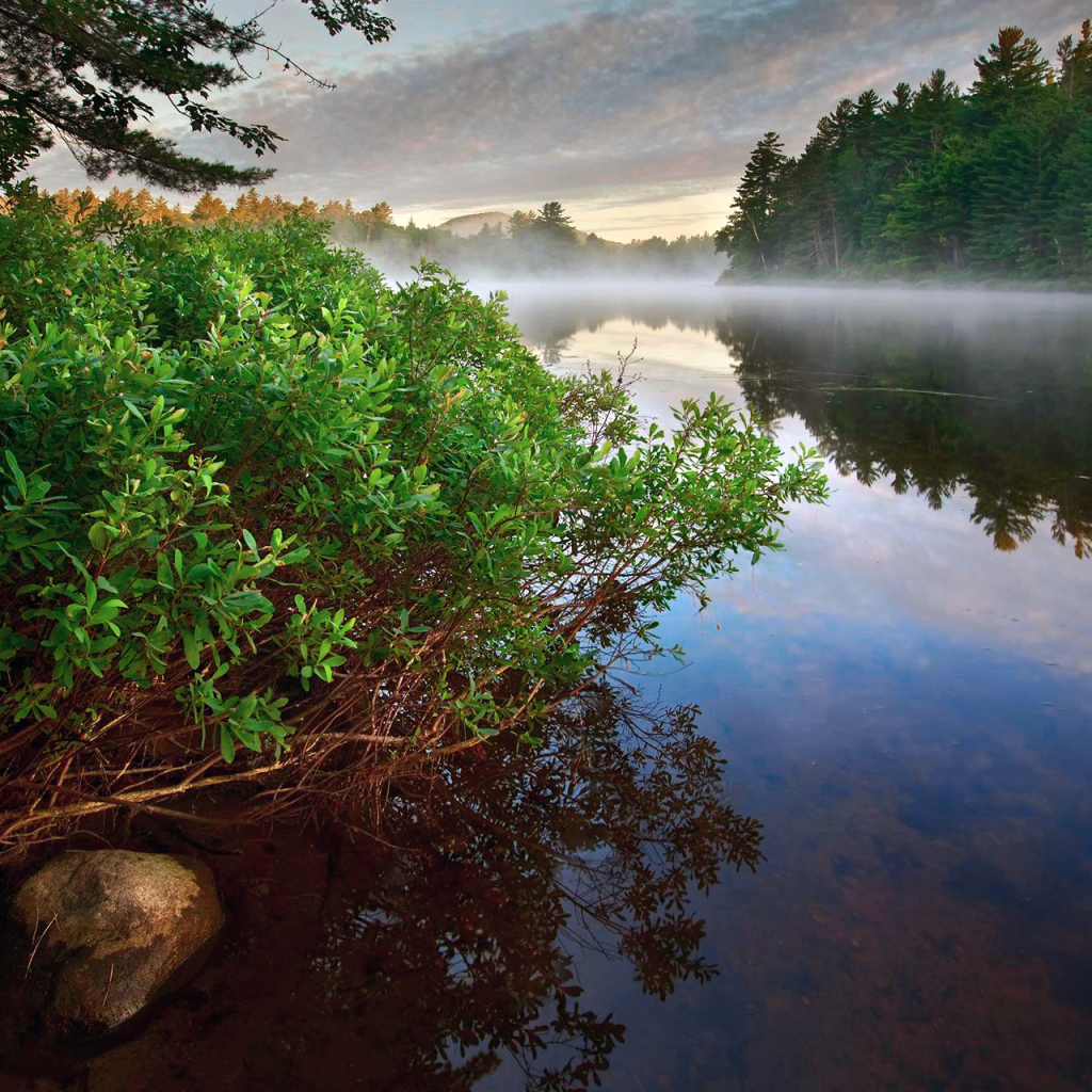 Туман над рекой